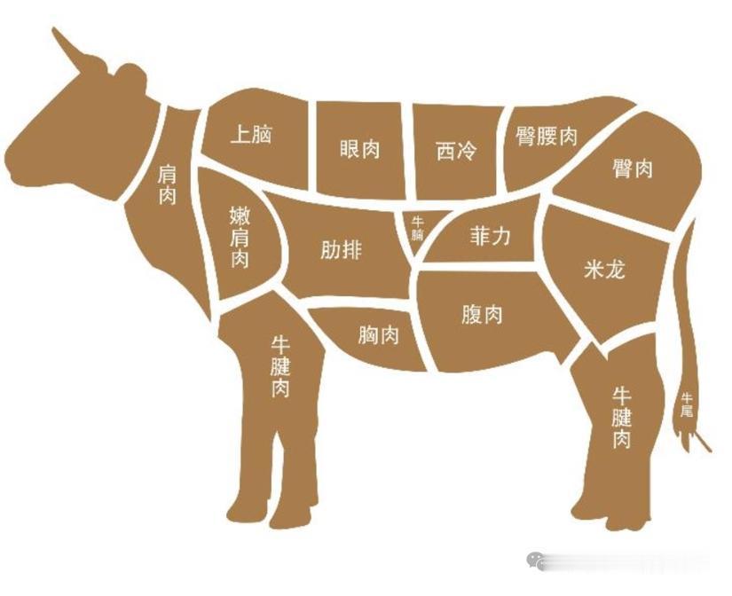 一张图帮你识牛肉。