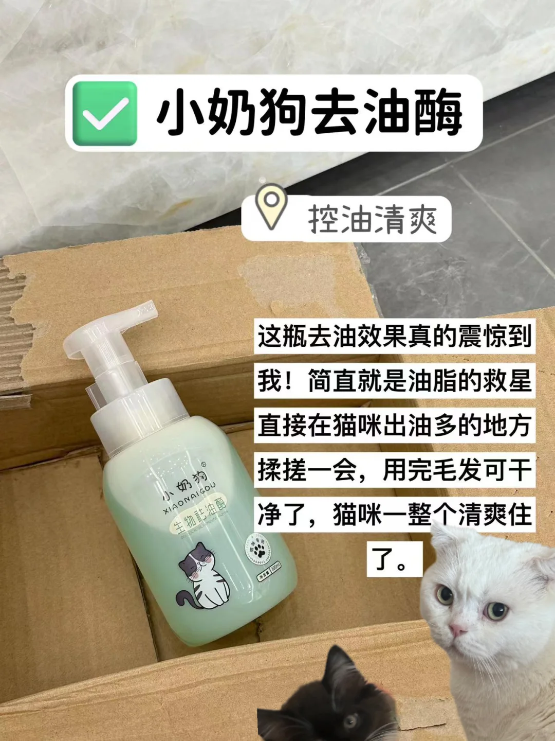多猫家庭经验总结！猫咪去油酶回购不踩雷！