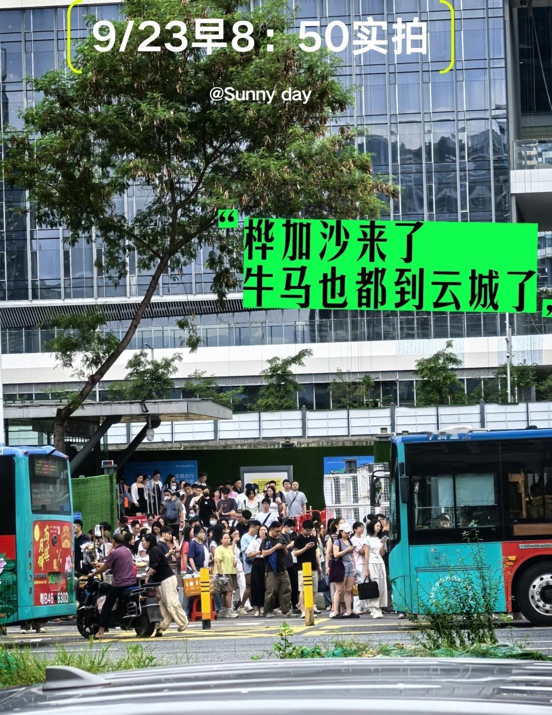 我证明 深圳牛马真的没停工
桦加沙当牛做马又一天 台风来啦 人人从从众众𠈌𠈌