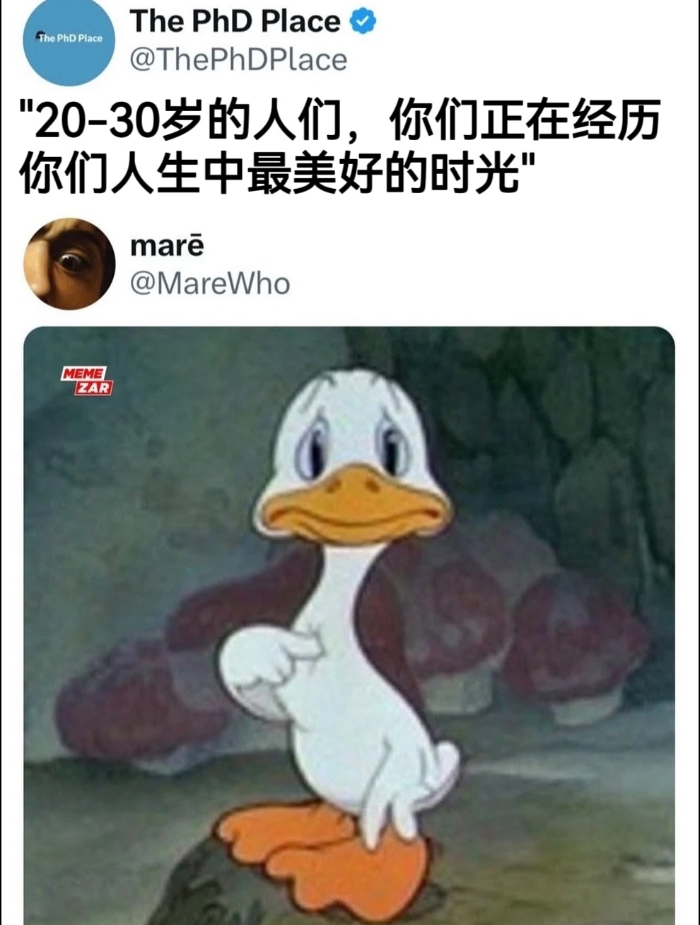 哥们真的吗 