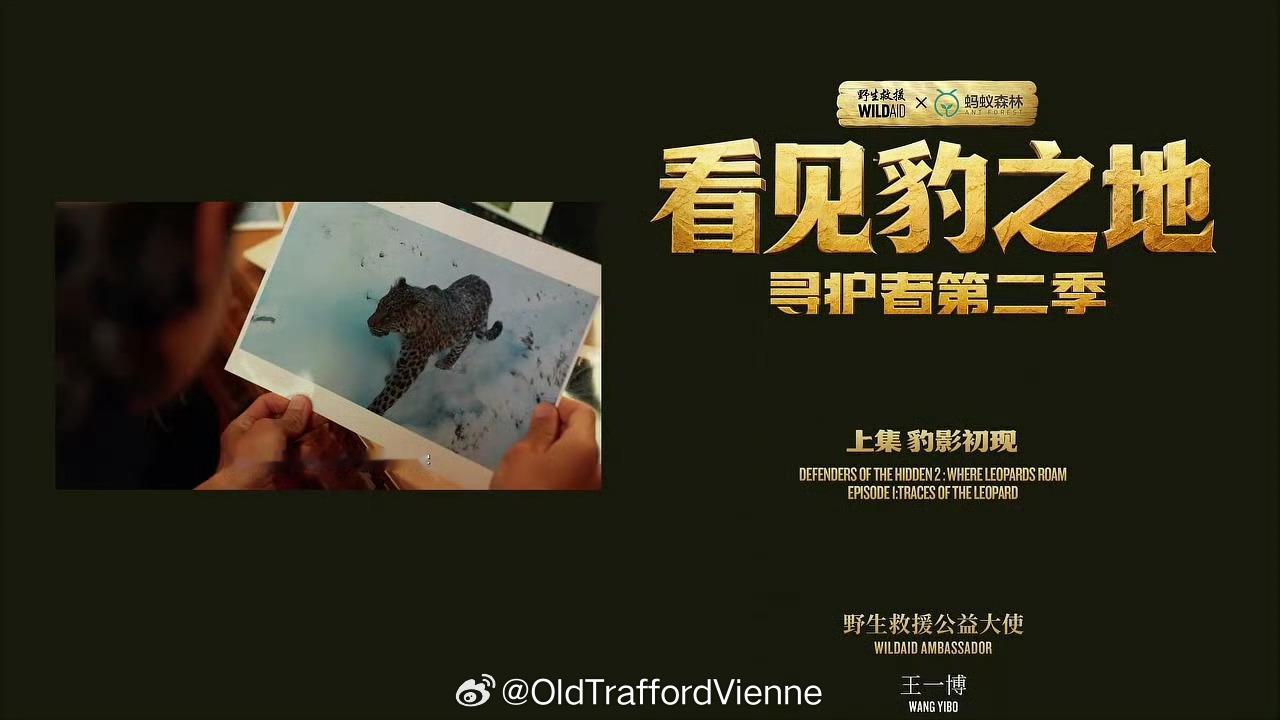 为拍摄到的华北豹起名：豹司令片尾摄影：王一博[送花花][送花花][酷][酷]💚
