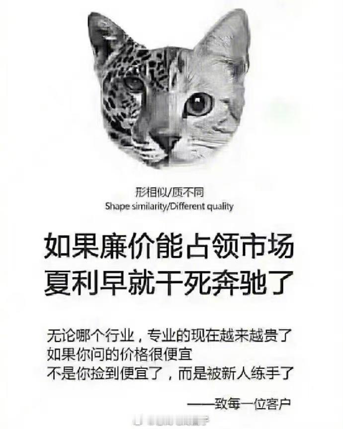 低价内卷并不是品牌突围之道，反而是作茧自缚... 