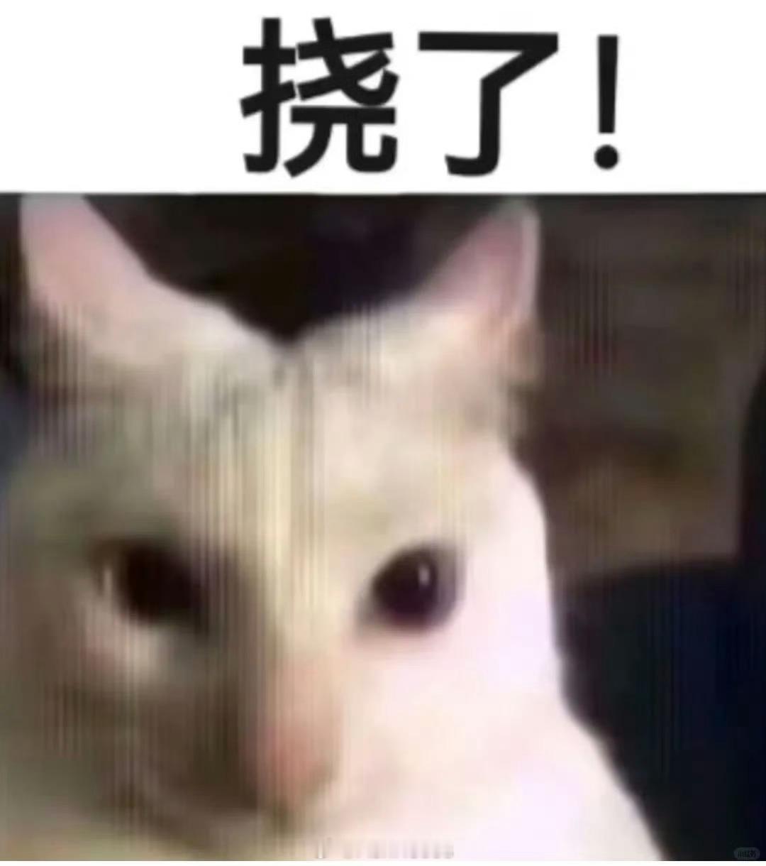 光与夜之恋萧逸  大猫现在可会提要求了。萧逸以前一个人的时候，只会对自己提要求，