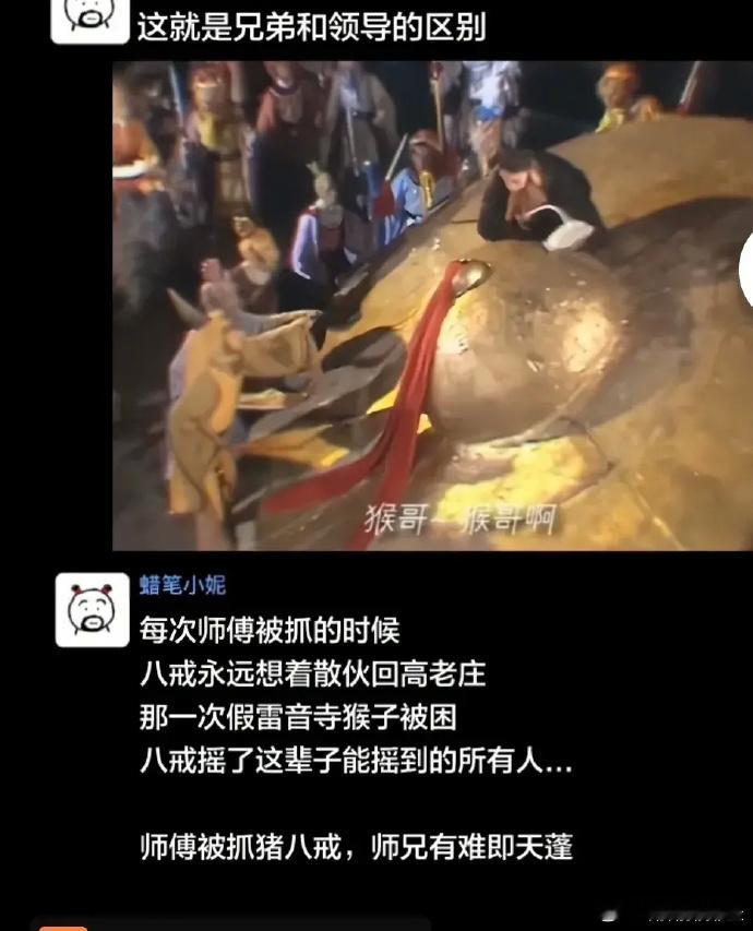 猪八戒一直很清楚兄弟和领导的区别[允悲][允悲] ​ ​​​