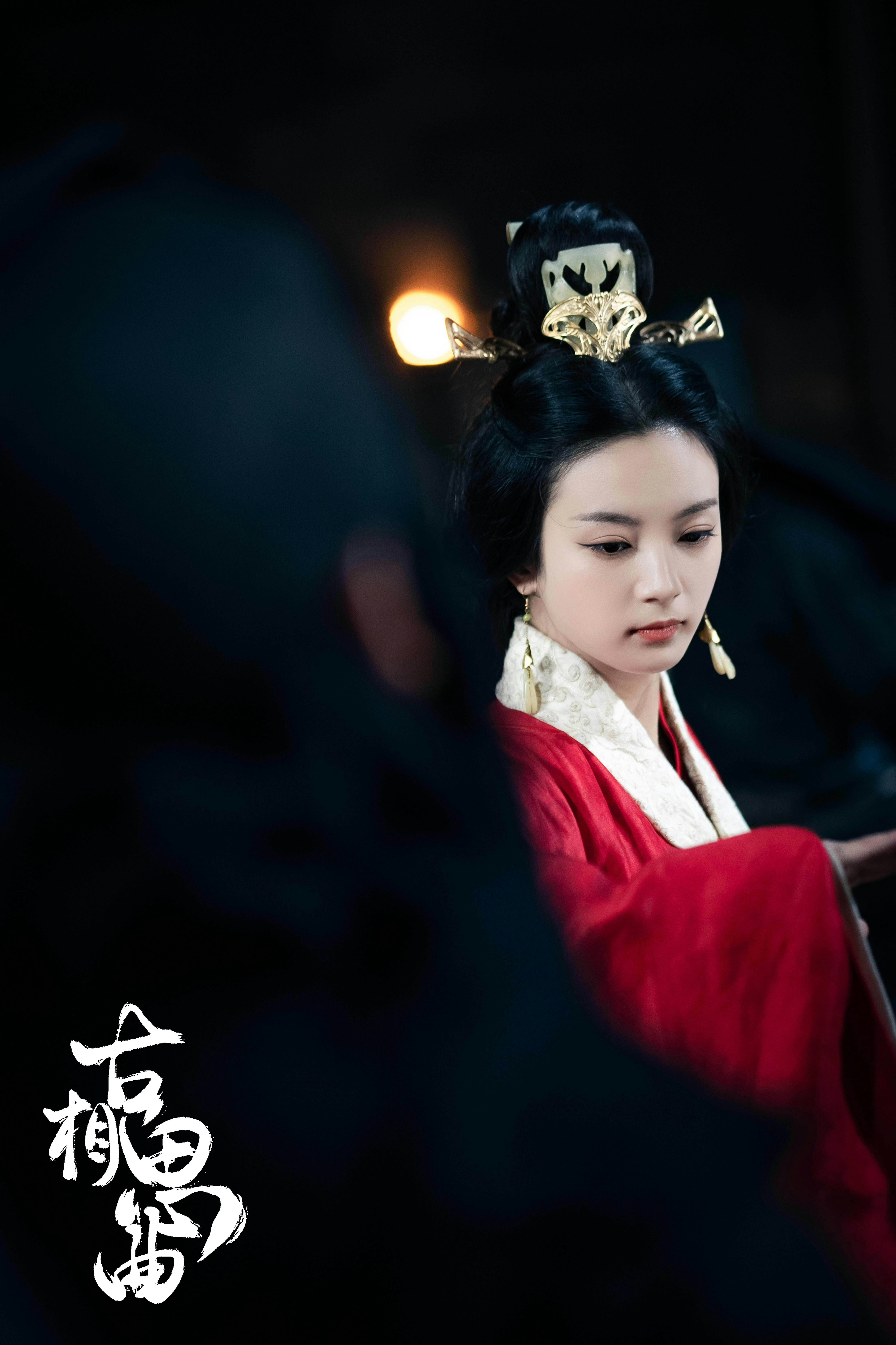 大汉赋能不能找张雅钦演卫子夫 