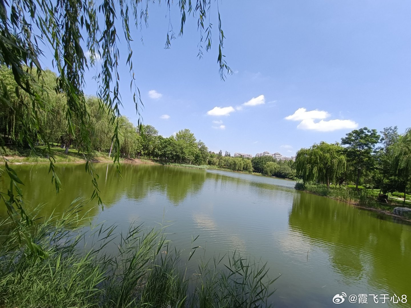 随手拍美好常伴岁岁怡然 
