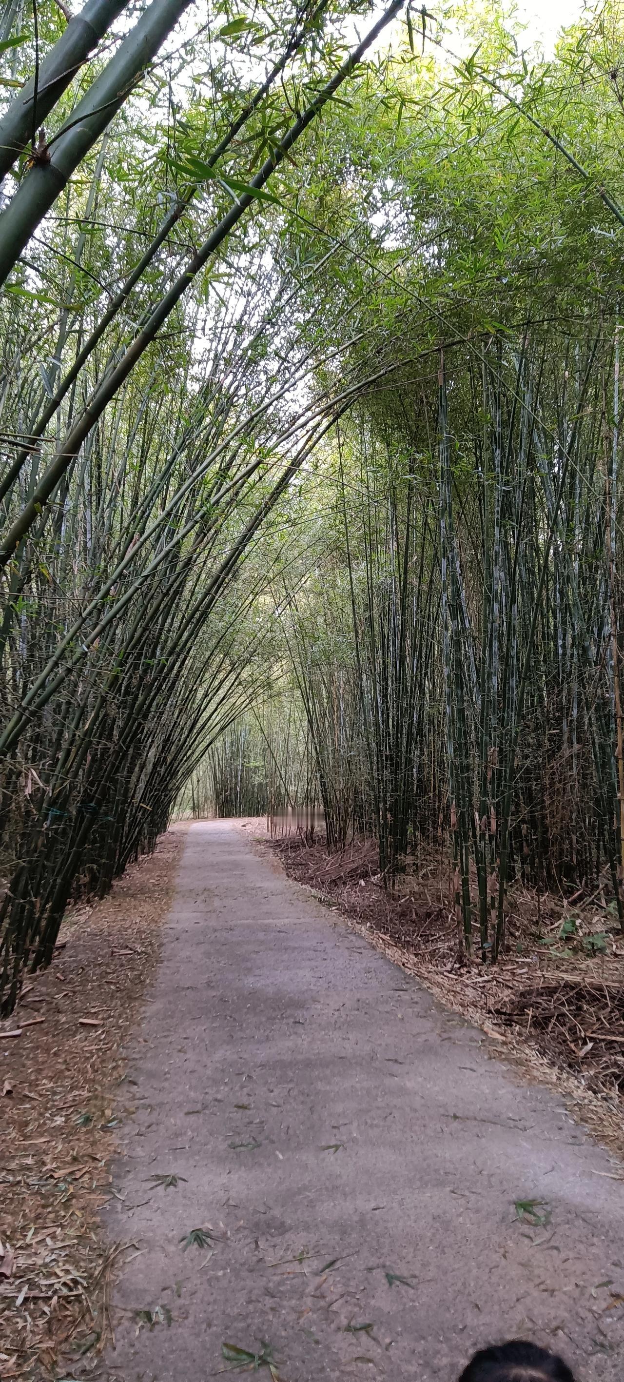我是82年的，今年42岁，在武汉混日子，目前的现状是:
  1.存款不到20个；
