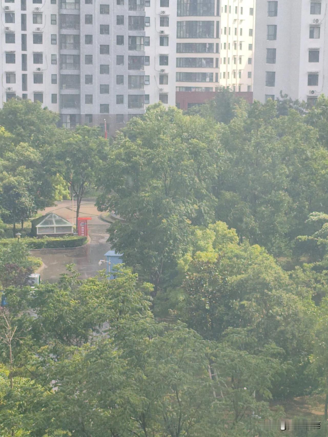 夏日生活打卡季好清爽的太阳雨，比前两天的几场来得更干脆利索。
