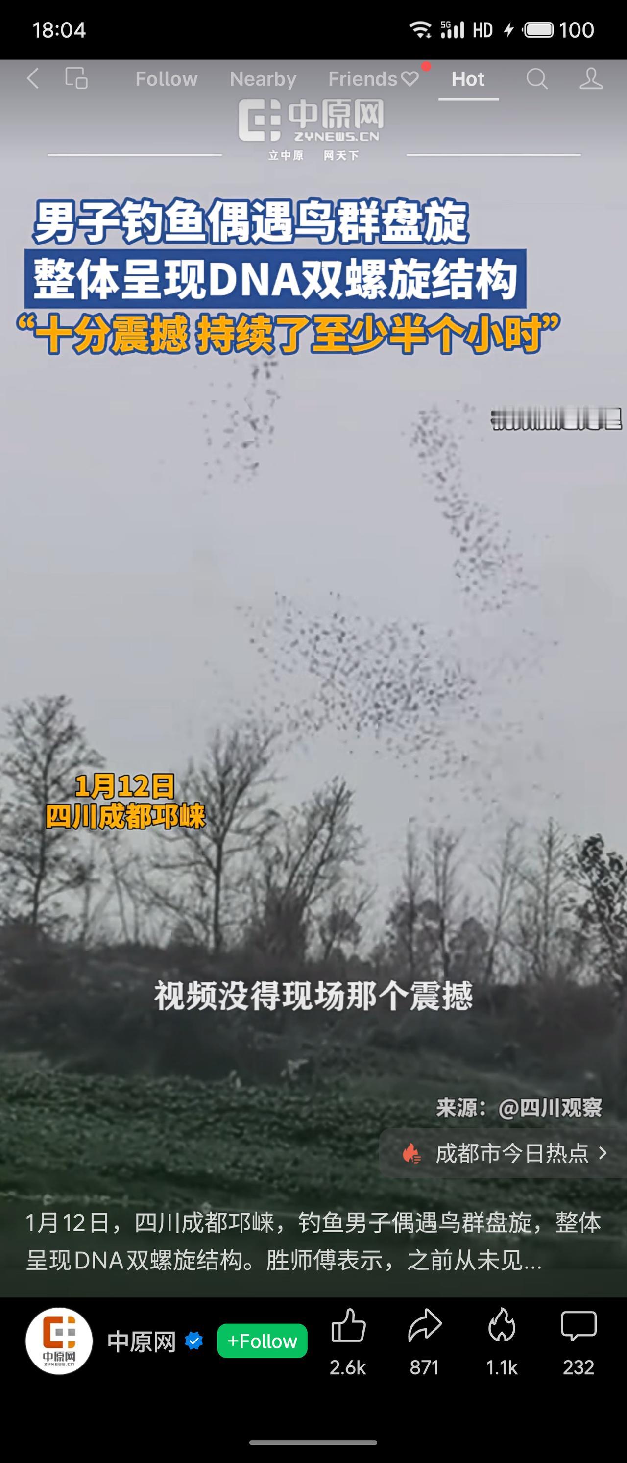 成都一男子钓鱼时，目睹鸟群盘旋成DNA双螺旋结构，持续约半小时。此类鸟群精密队形