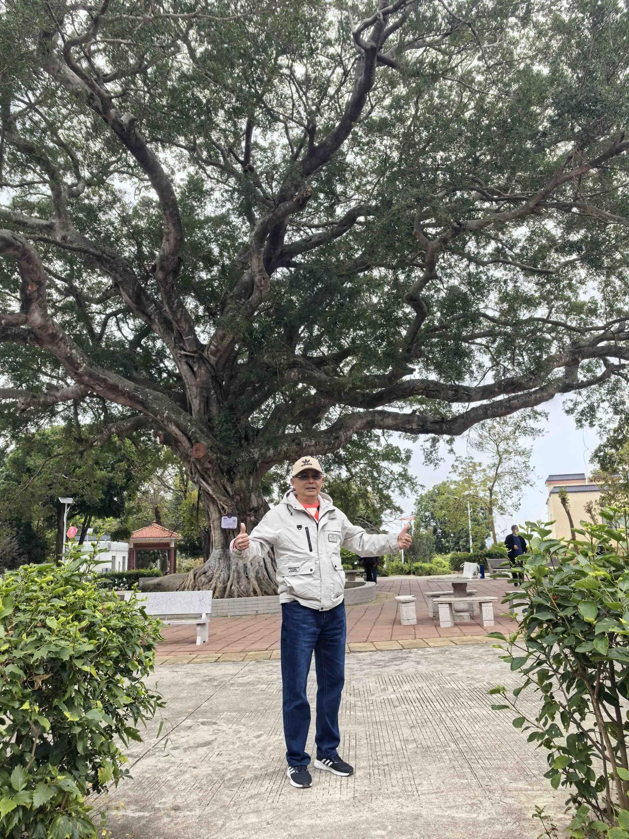 人生没有白走的路，每一步都算数，无论是好的坏的，最后都会变成你的阅历和底气。不必