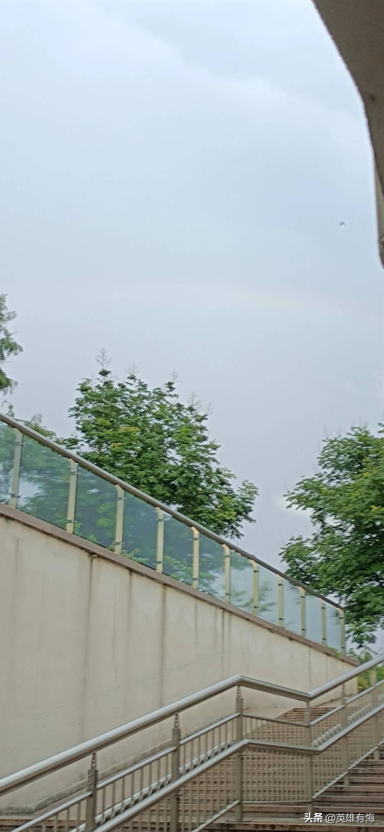 夏日生活打卡季昨天傍晚前的大雨，整整下了半个多小时。这会西边太阳东边大彩虹。