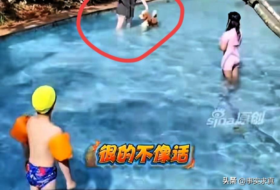 2万元给狗洗澡，三亚人狗共浴账单出来傻眼了
近日，三亚一个大众泳池一群人正在泳游