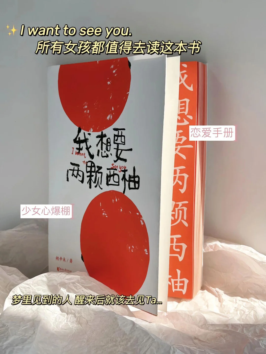 《我想要两颗西柚》