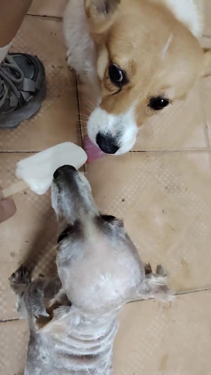 怎么填那么久没填完？累了。