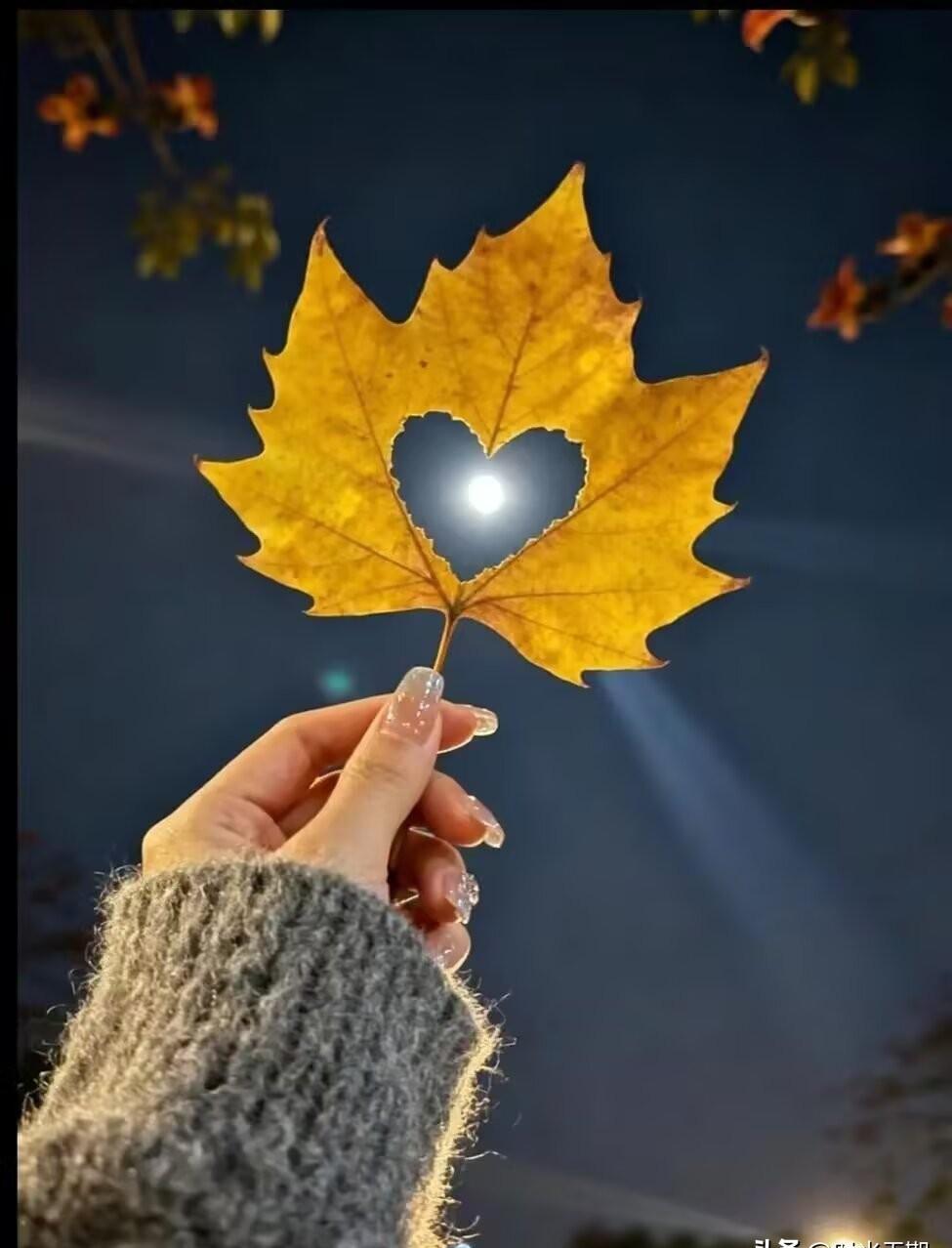 别再羡慕电视里那些整天秀恩爱的明星夫妻了，真正的顶级关系，其实就是合法的“团伙作