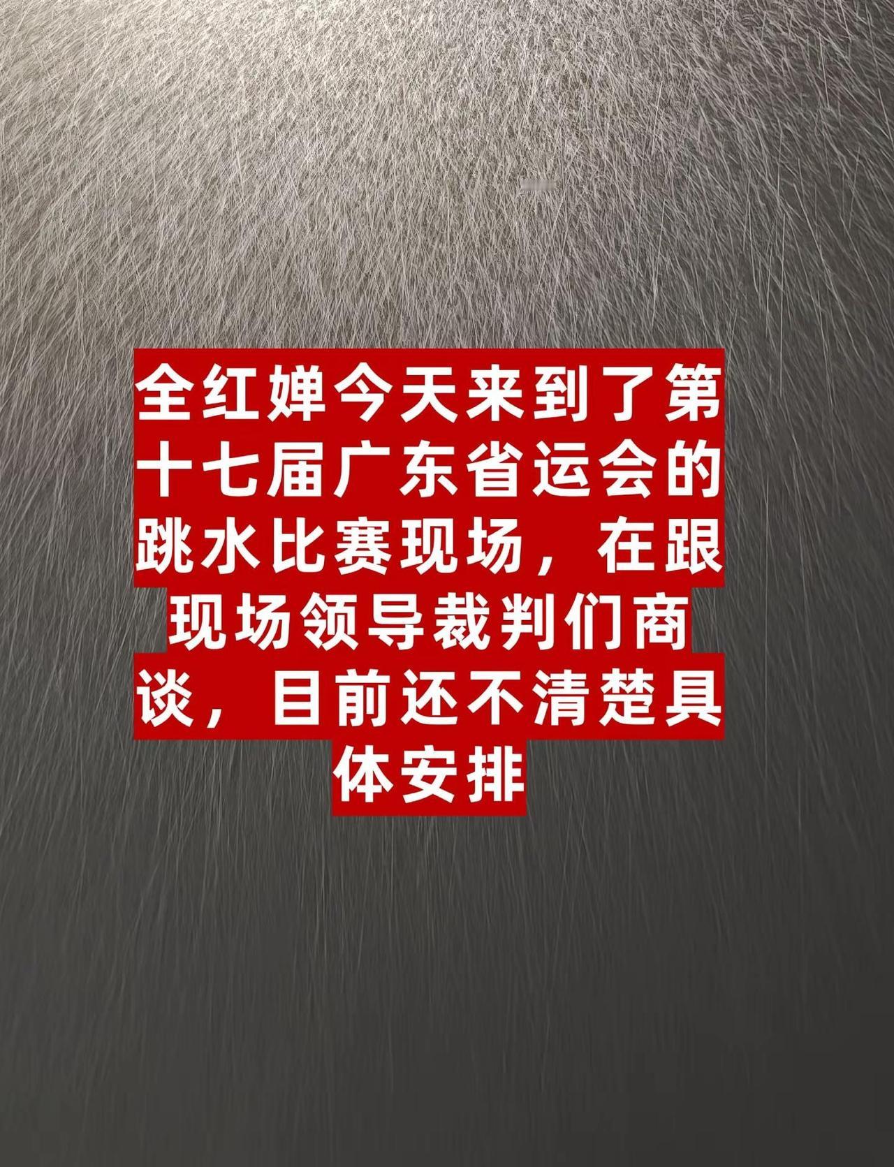 今天来到了广东省第十七届省运会的跳水比赛现场，在跟领导裁判们商谈，目前还不清楚具