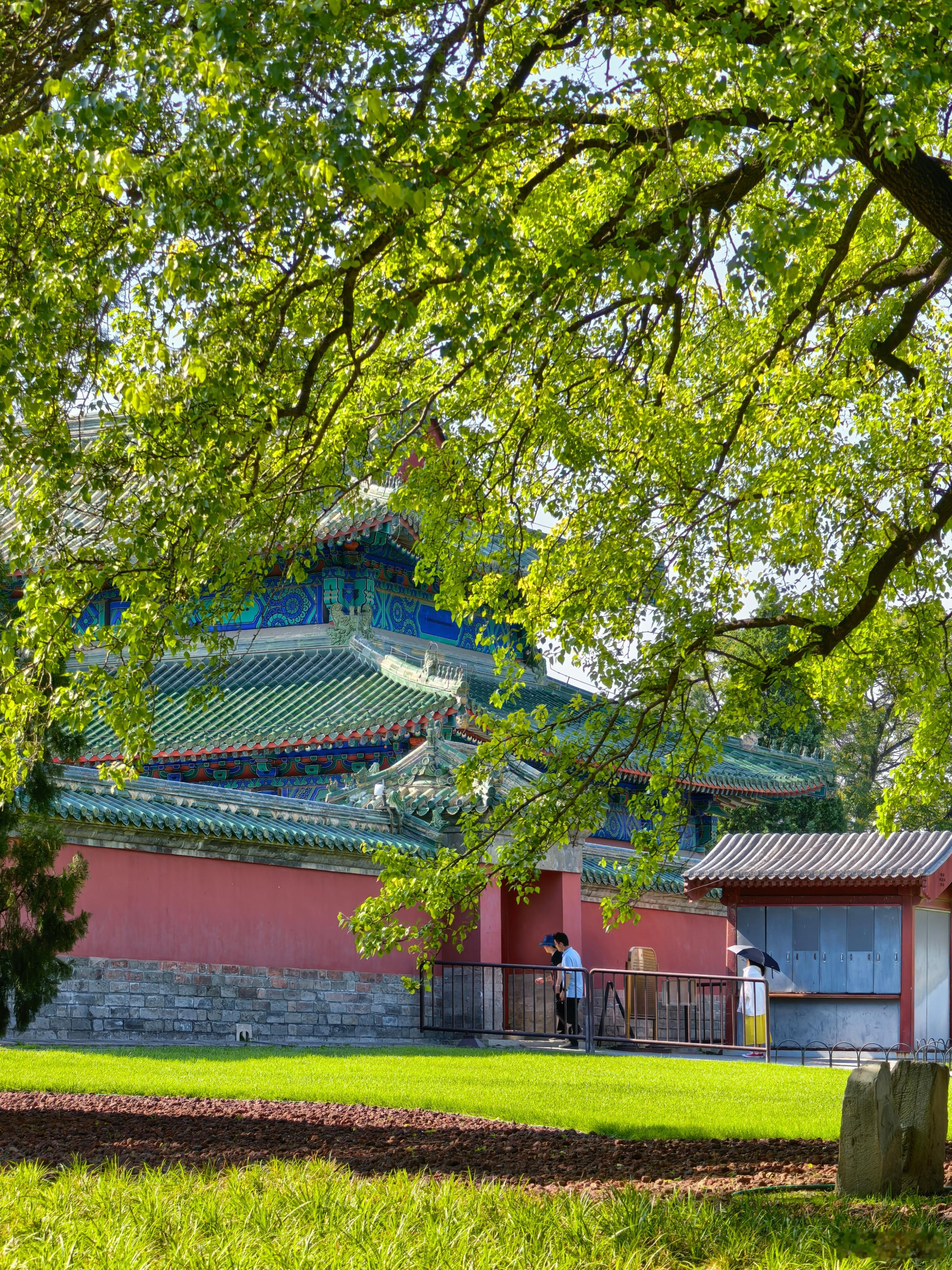 绿韵天坛       初夏的天坛，古柏参天，绿草如茵，鸟儿在林间歌唱，游客在花间