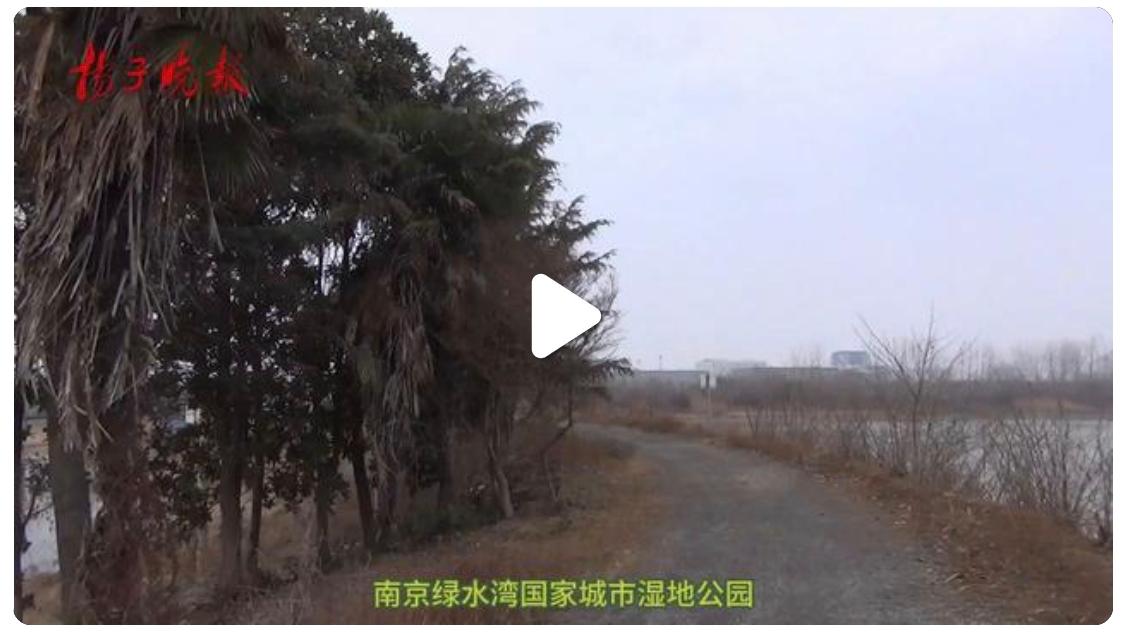 长耳动物现身南京绿水湾，名叫长耳鸮属猫头鹰的一种
        这是一次非常珍