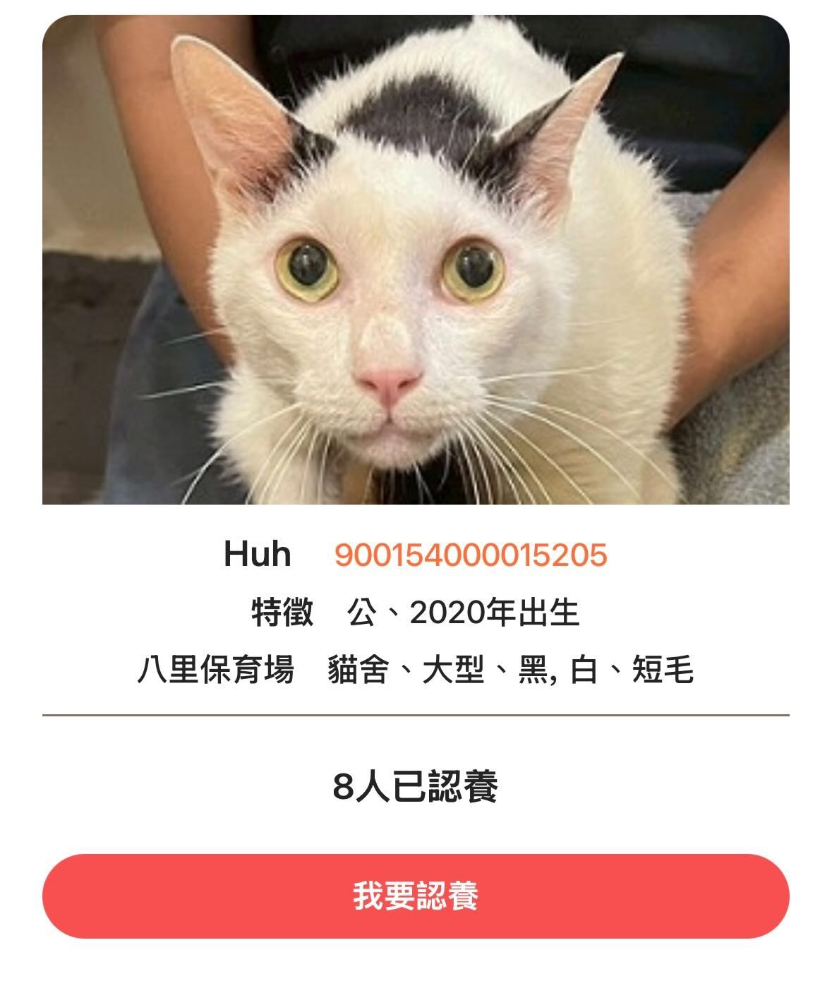 音效出来了meme ​​​
