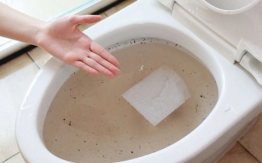 卸了马桶才取出卡住的死鱼看完这事真心提醒大家，马桶管道弯曲狭窄，活鱼、杂物、毛发
