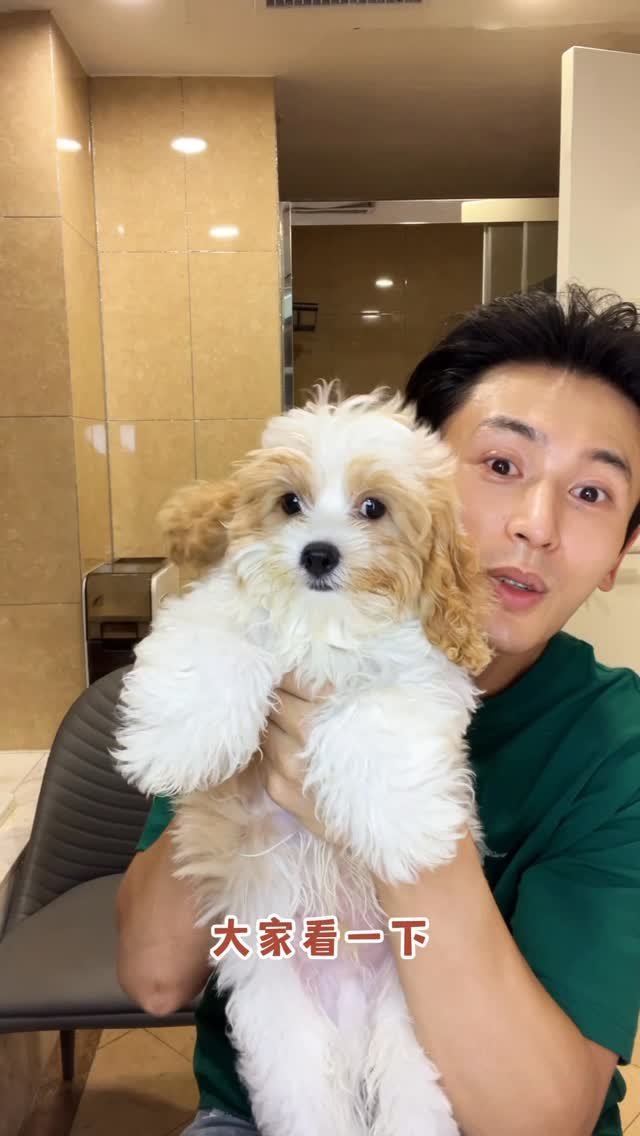 辛纳来咯🐶Cr:ig:zhangzhehan_super3 ​​​