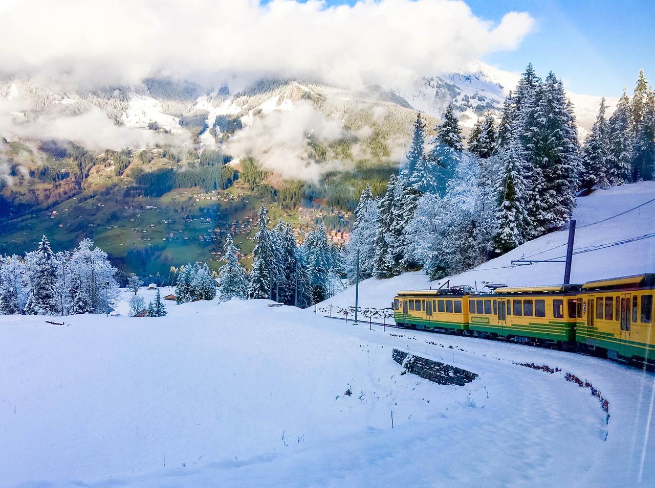 快来看看我新换的主页背景吧