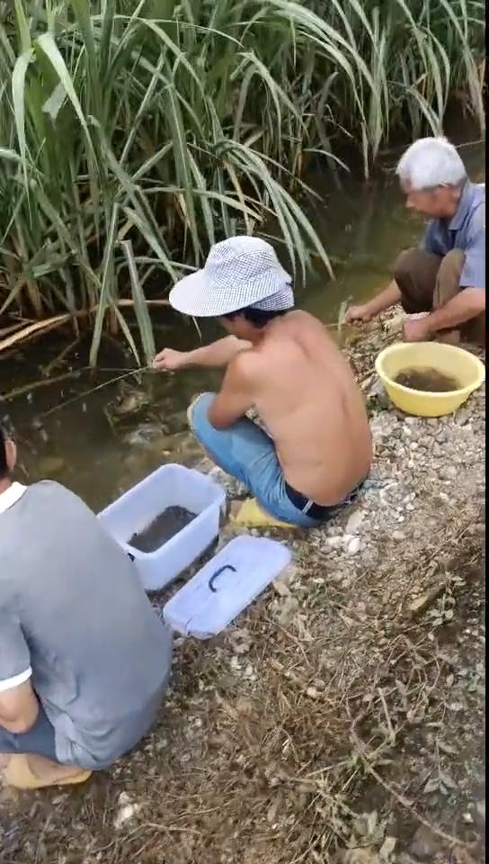 哈哈哈。