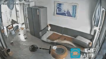 我的天啊
这得几级大风刮成这样？[泪奔]