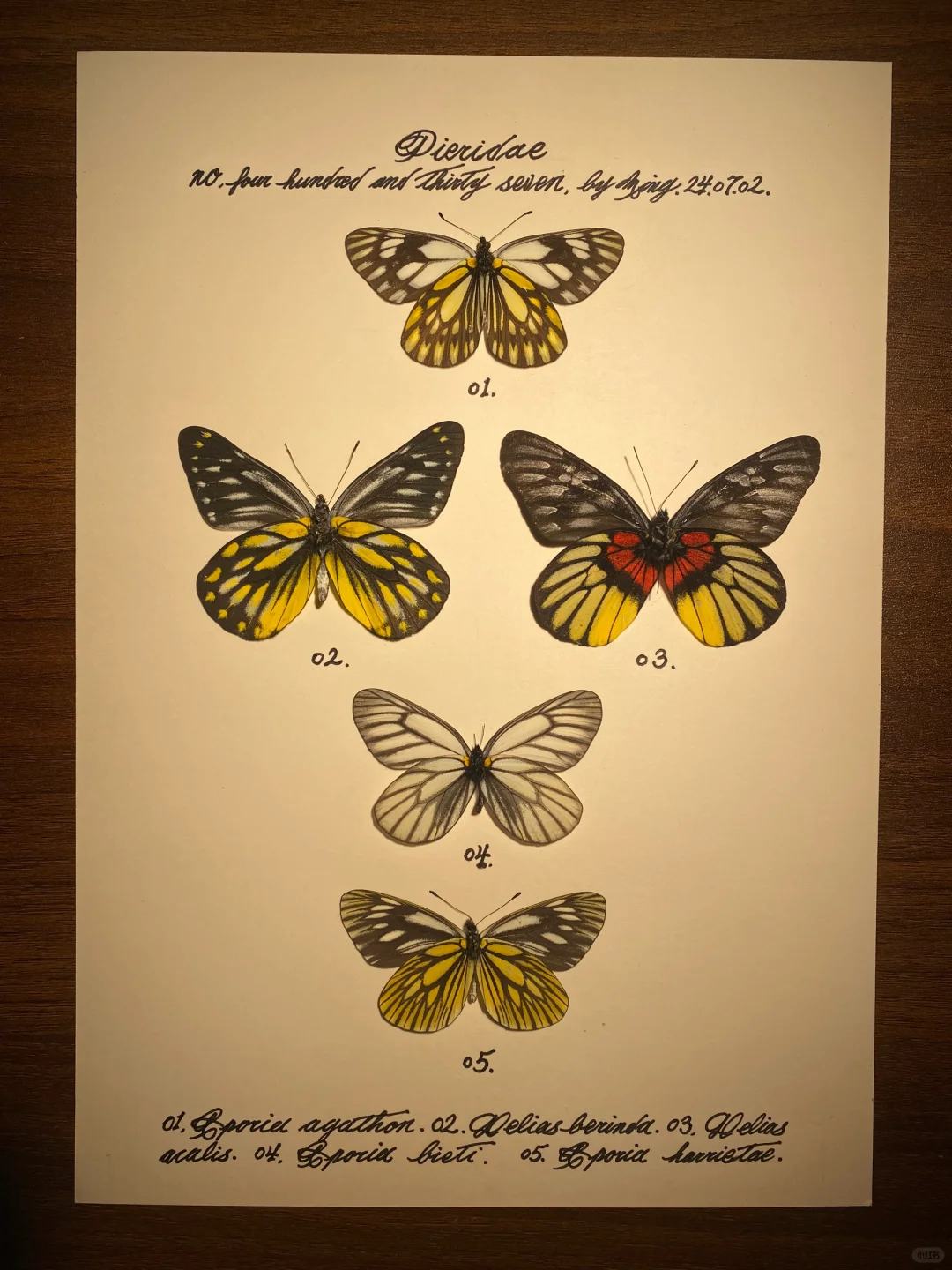 是谁工作到现在啊