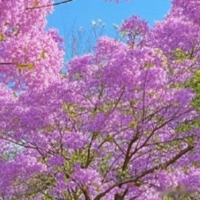 最幸福的路就是回家的路🥰 