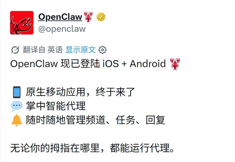 什么豆包手机？