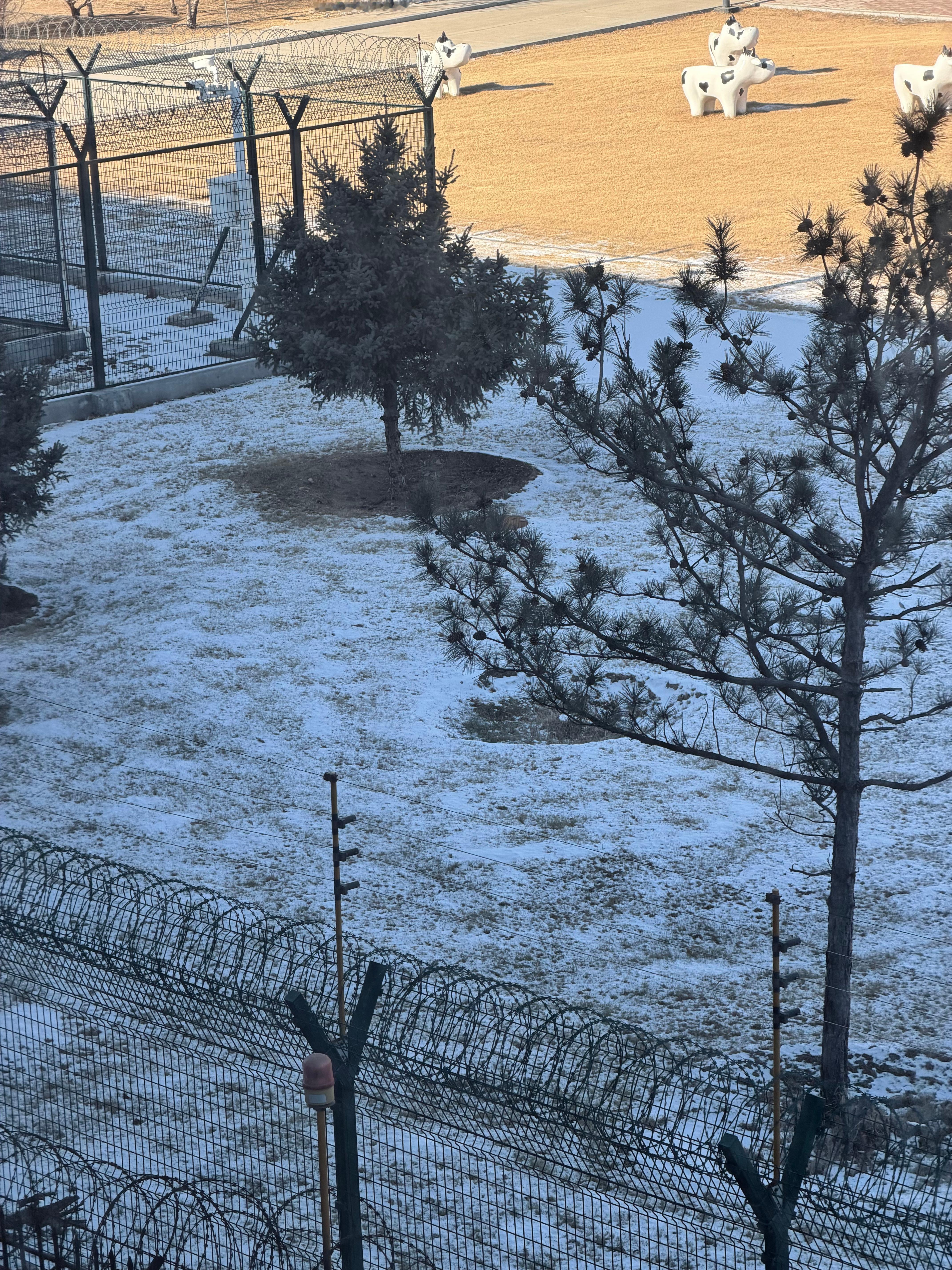 在休息室等转机去海拉尔阿姨的卫生做的好仔细拿着簸箕擦得好认真 呼和浩特