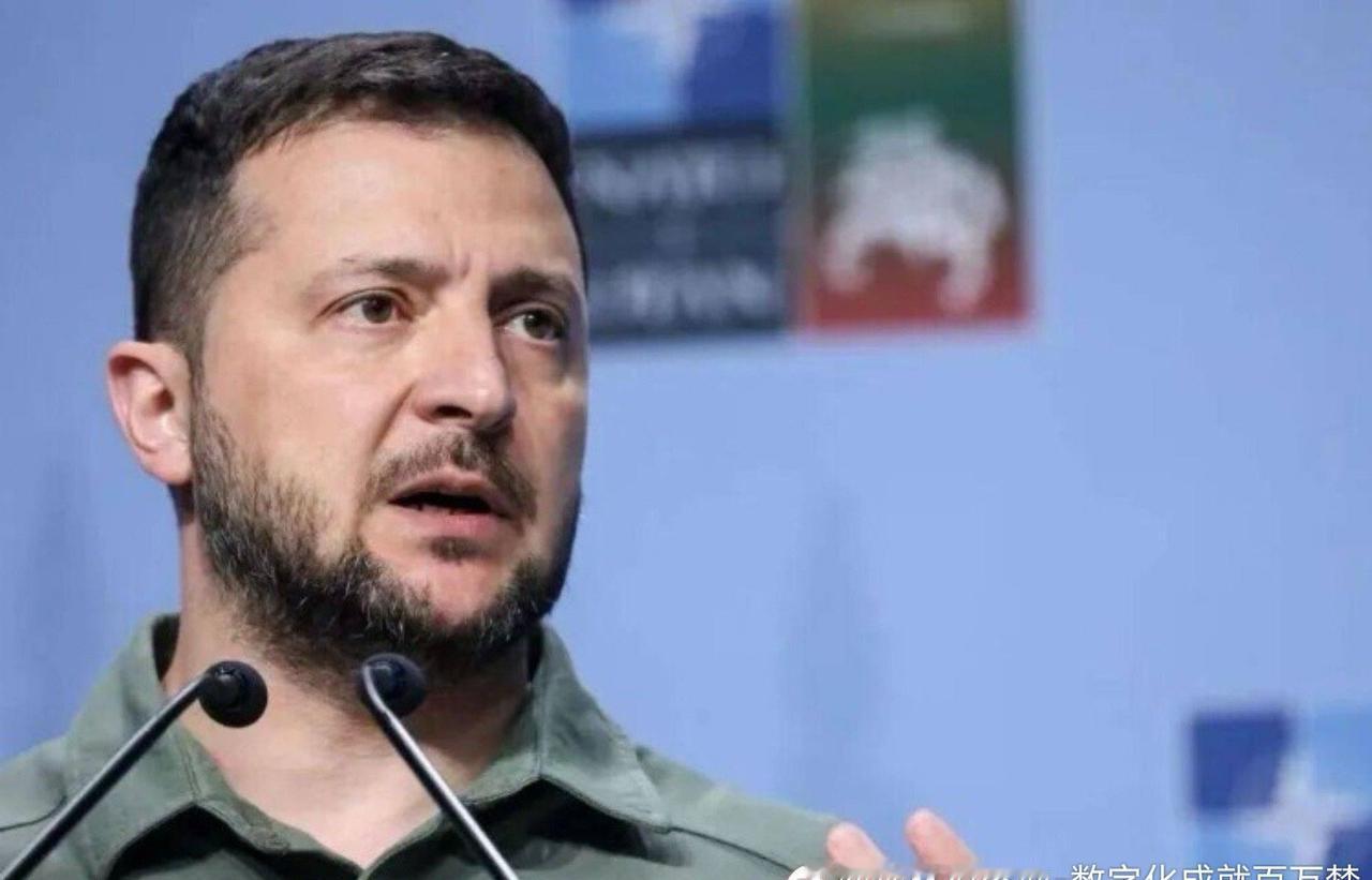 凤凰新闻【泽连斯基终于低下高贵的头颅，乌克兰进入被奴化时代！】一纸放弃加入北约的