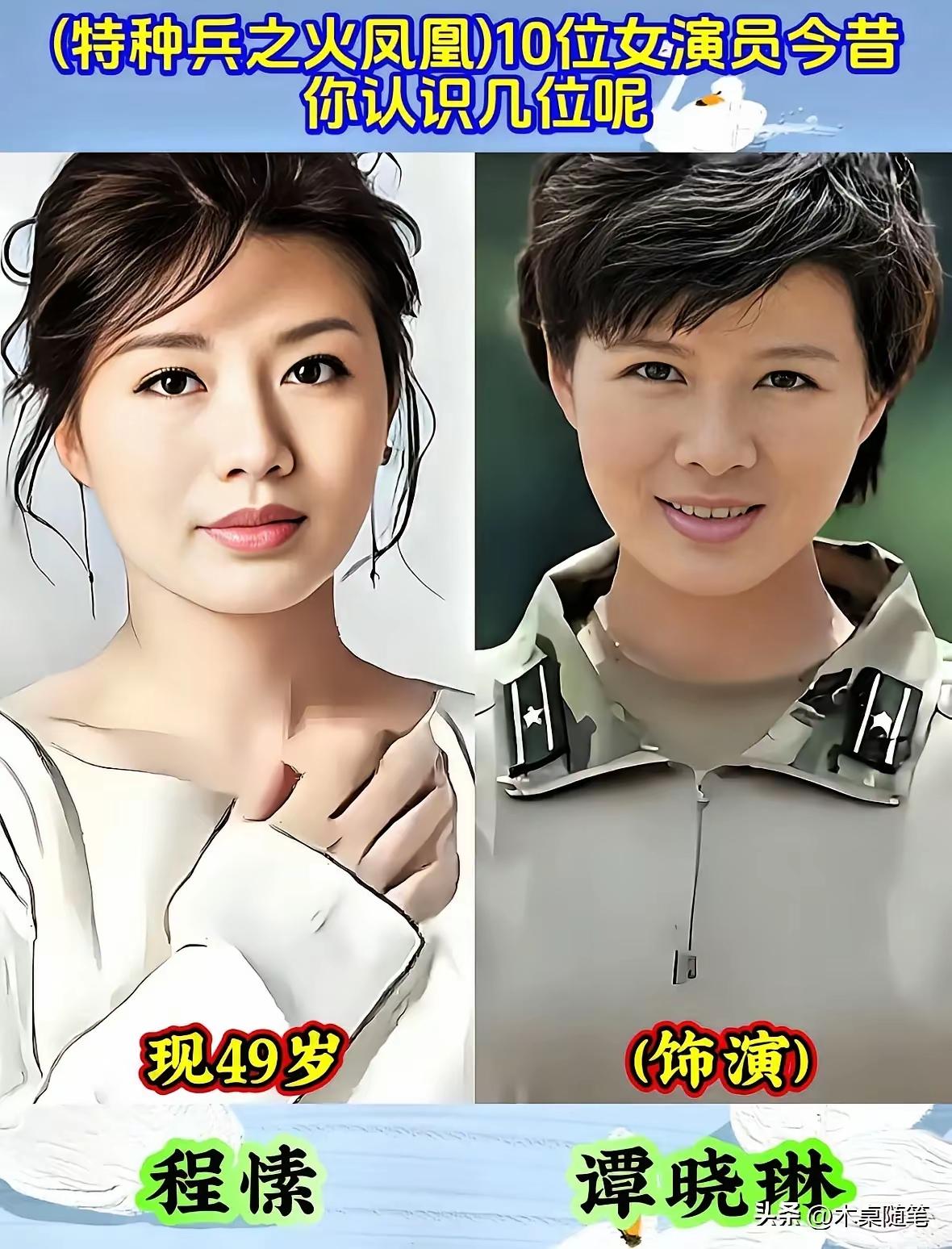 女版《士兵突击》《特种兵之火凤凰》，还记得这部女版士兵突击吗？是不是当时看起来的