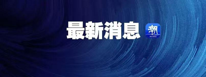 一、冻结其在我国境内的动产、不动产和其他各类财产；

二、禁止我国境内的组织、个