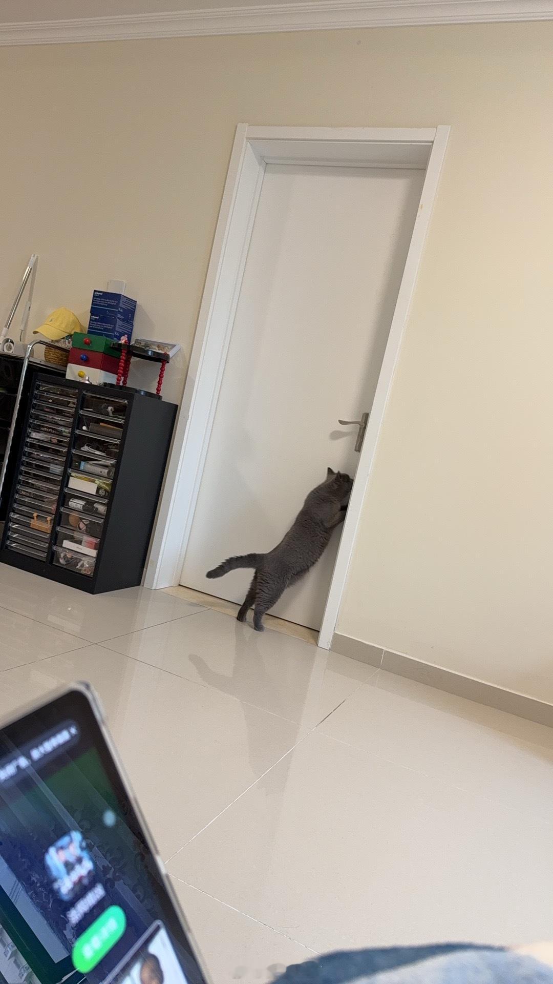 他这样真的有点猥琐[哪吒使坏] ​​​