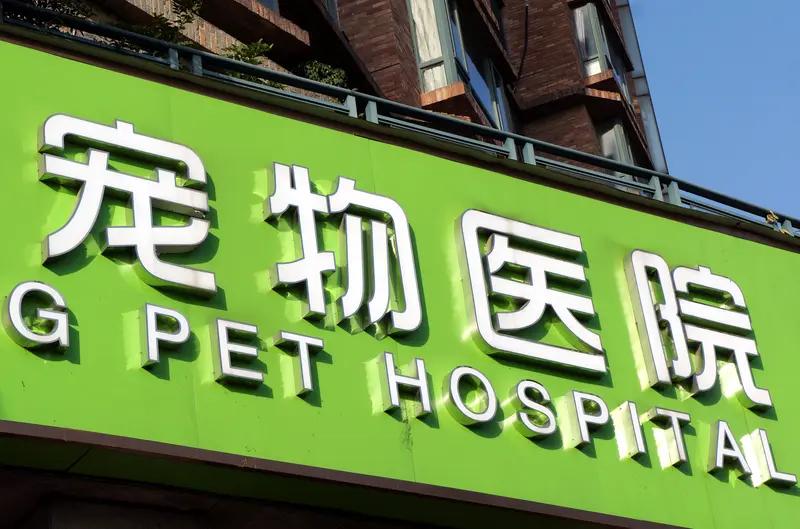 上海阿姨月薪5千，却把3套房留给宠物医院？背后真相让全网破防：这才是真正的“人间