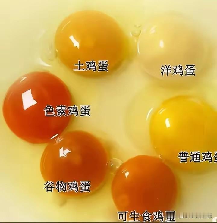 不知道这个鸡蛋辨认靠谱不，下次就按照这个买了
真的不知道应该吃什么，感觉啥都有问