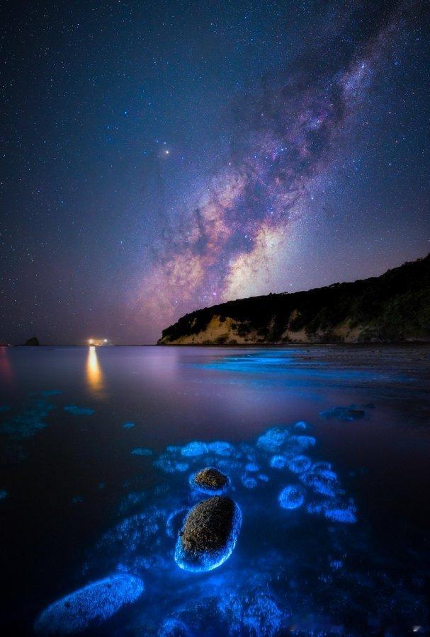 天上的银河，水中的荧光生物，交相辉映。国外网友拍摄于新西兰奥克兰 ​​​