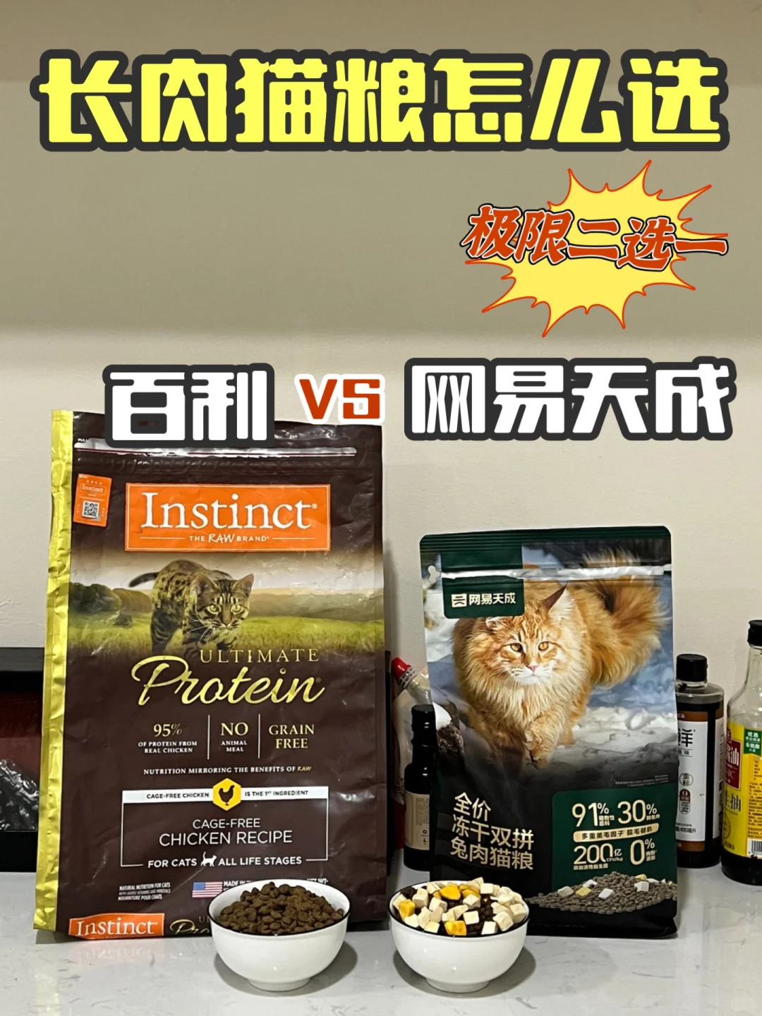 热门猫粮怎么选？？极限二选一！！