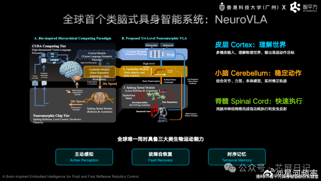 智平方发布了NeuroVLA，这是全球第一个“皮层-小脑-脊髓”三级类脑架构，目