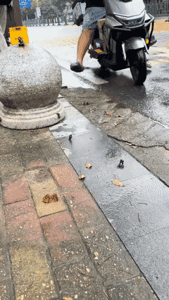 岁月静好，有人为你负重前行[加油]人间美好[比心]
