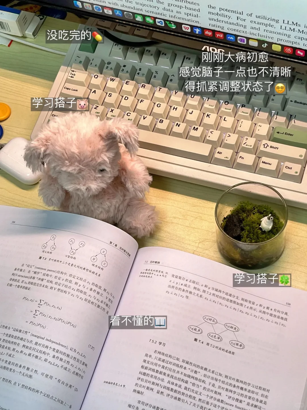 一周3个项目+国庆酒店 谁说不能玩学平衡