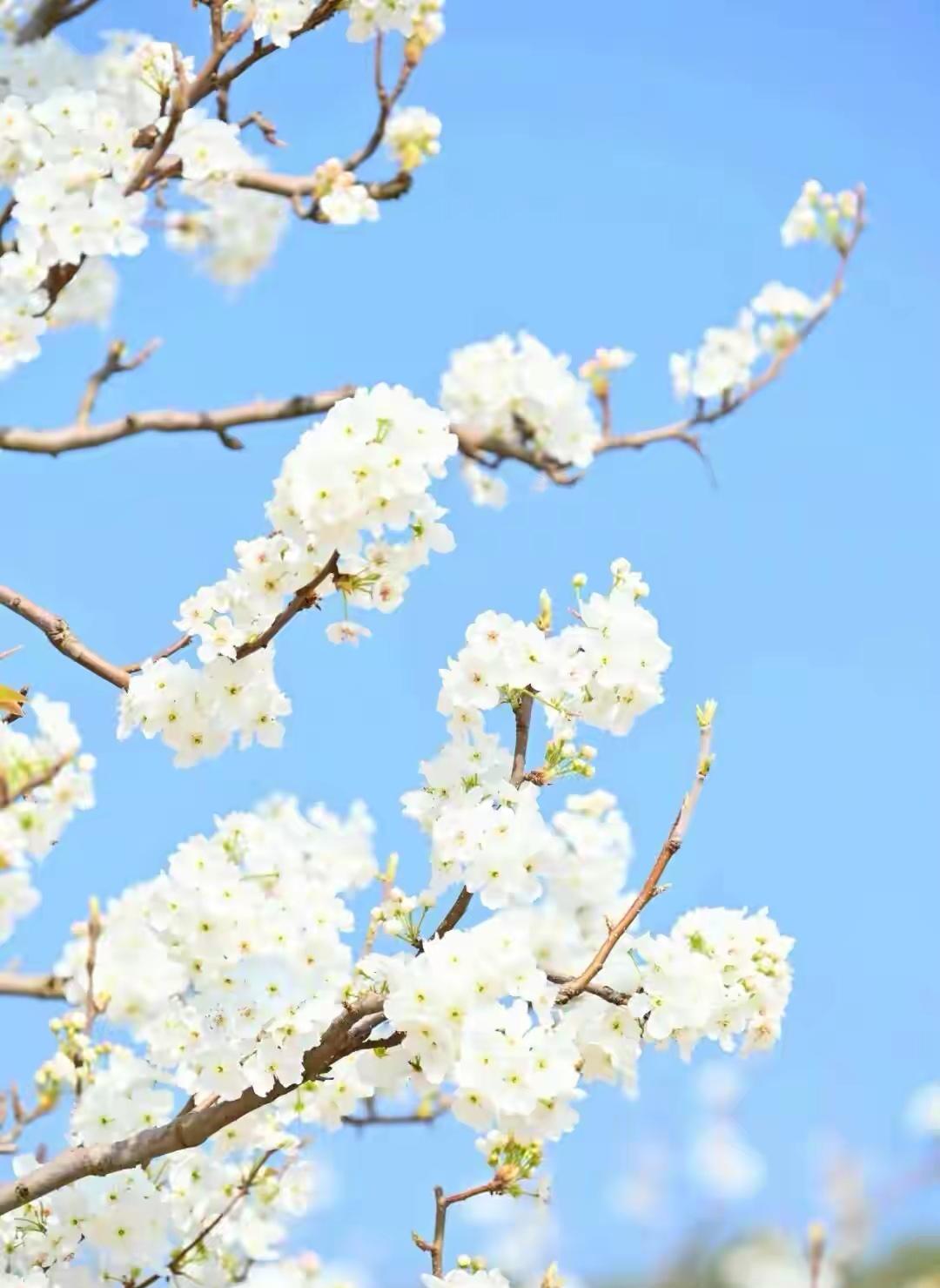 风里来雨里去，谁家伞也遮不住狂风骤雨！伞没了可再买，心凉了什么炉火也热不起！任风