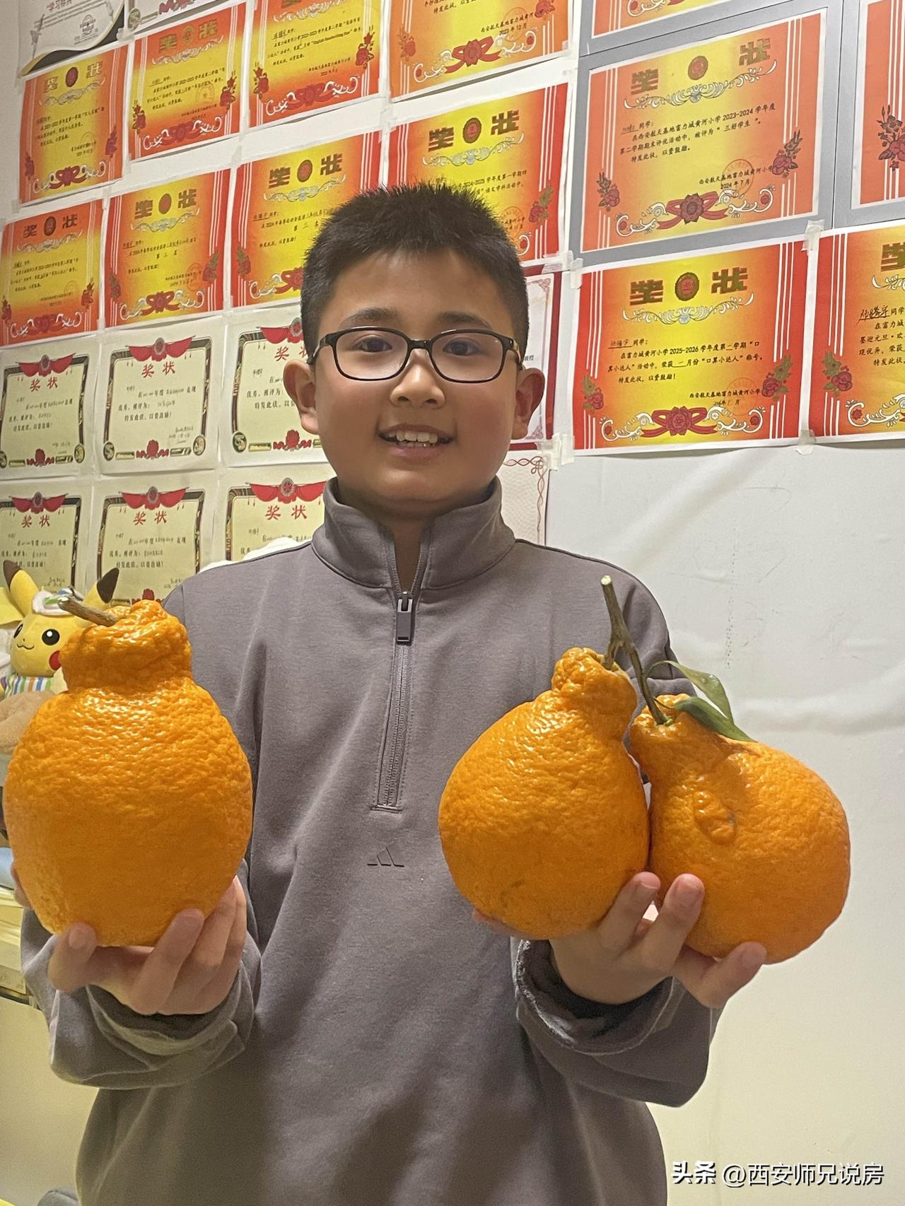 接孩子放学路上买的整袋（10斤装）耙耙柑到家解开袋子，发现都快成精了[捂脸]吃货