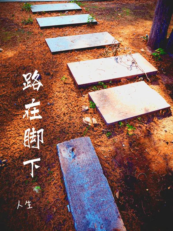 人生就像一场限时的旅行，真的很短暂。不是每个人都能活到八九十岁，就算长寿，也要忍