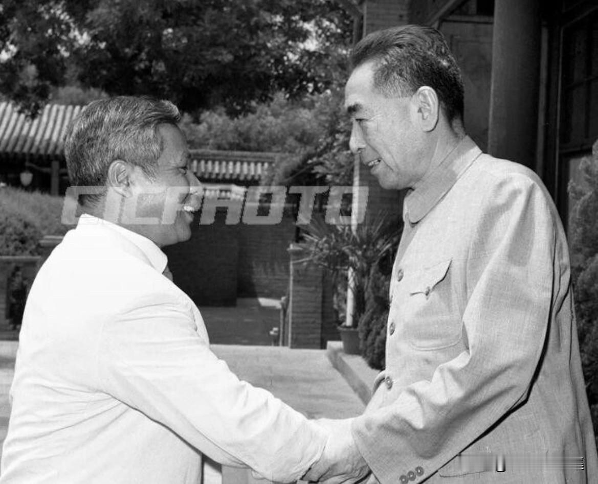 1964年6月10日，中午，周恩来总理在中南海西花厅接见由水利部长何继晋率领的越