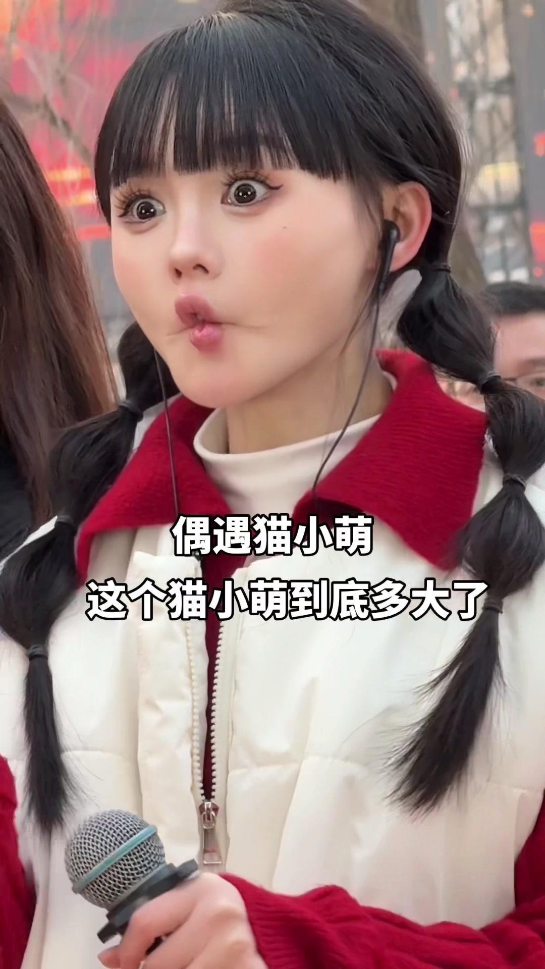 🐱木森大舞台偶遇小奶猫，圆滚滚的身子蹭来蹭去，心都要化了～
它趴在舞台角落的椅