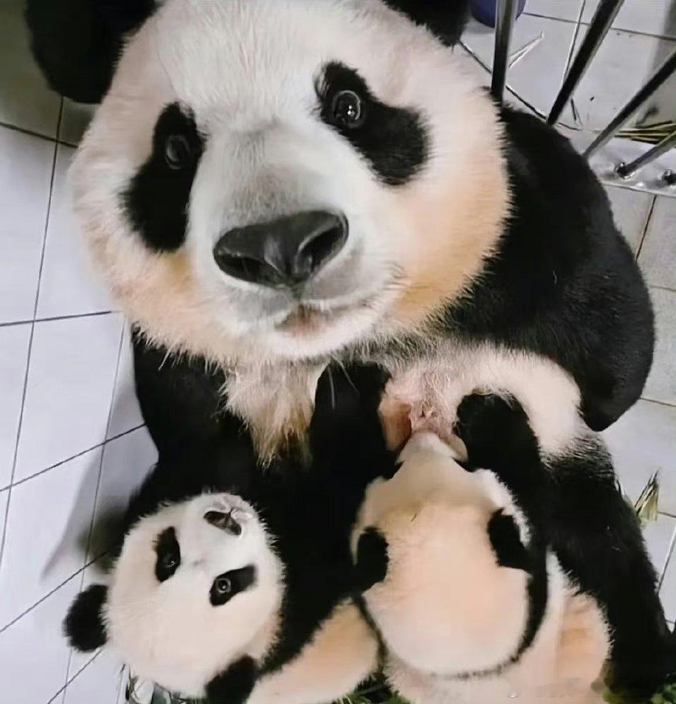 最喜欢的照片之：爱宝和她的福睿辉 ​​​