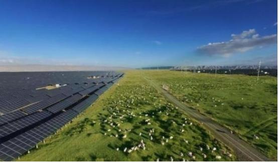 万万没想到，中国基建闹了个大“乌龙”，本打算耗资3亿在荒漠建个发电厂。没想到10